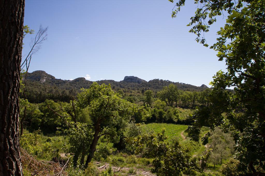 Les Residences De Metifiot Saint-Remy-de-Provence Luaran gambar